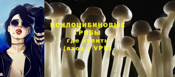 ГАЛЛЮЦИНОГЕННЫЕ ГРИБЫ Алексин