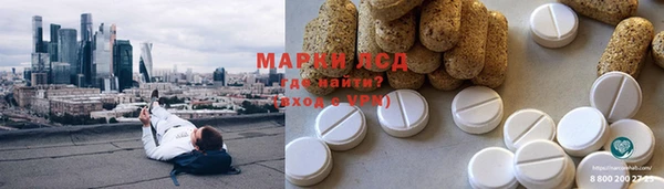 дмт Алзамай