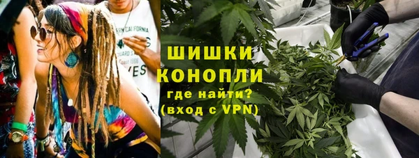 молекула духа Алексеевка