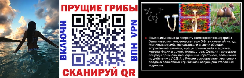 Псилоцибиновые грибы Magic Shrooms  цены наркотик  Суровикино 